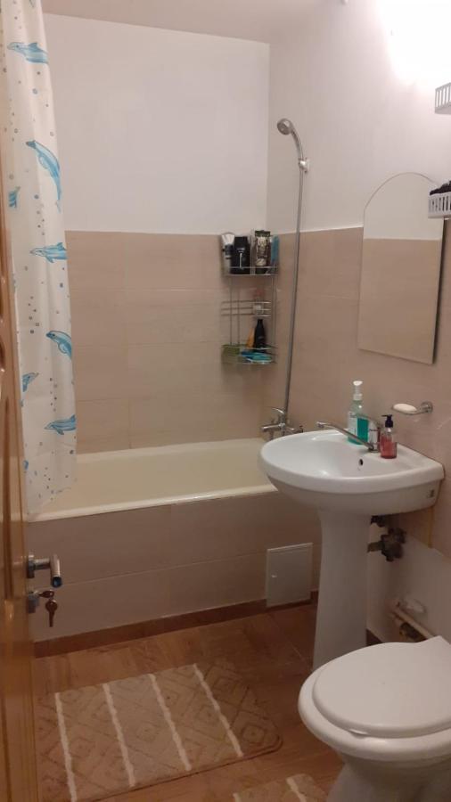 Xenia Apartament كونستانتا المظهر الخارجي الصورة
